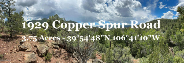 1929 COPPER SPUR RD, BOND, CO 80423 - Image 1