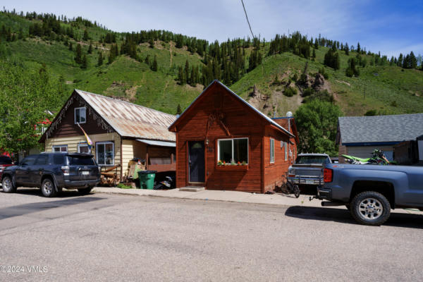166 MONUMENT ST, RED CLIFF, CO 81649 - Image 1