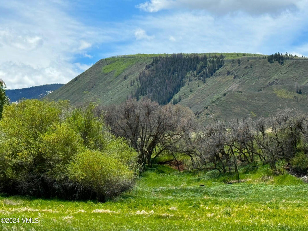 401 RED BLUFFS LN, EAGLE, CO 81631, photo 1 of 10